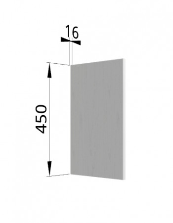 Панель торцевая (для шкафа горизонтального высокого) ВПГ Ройс (Графит софт) в Ташаре - tashara.mebel54.com | фото